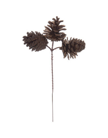 Natural Pine Cone Pick