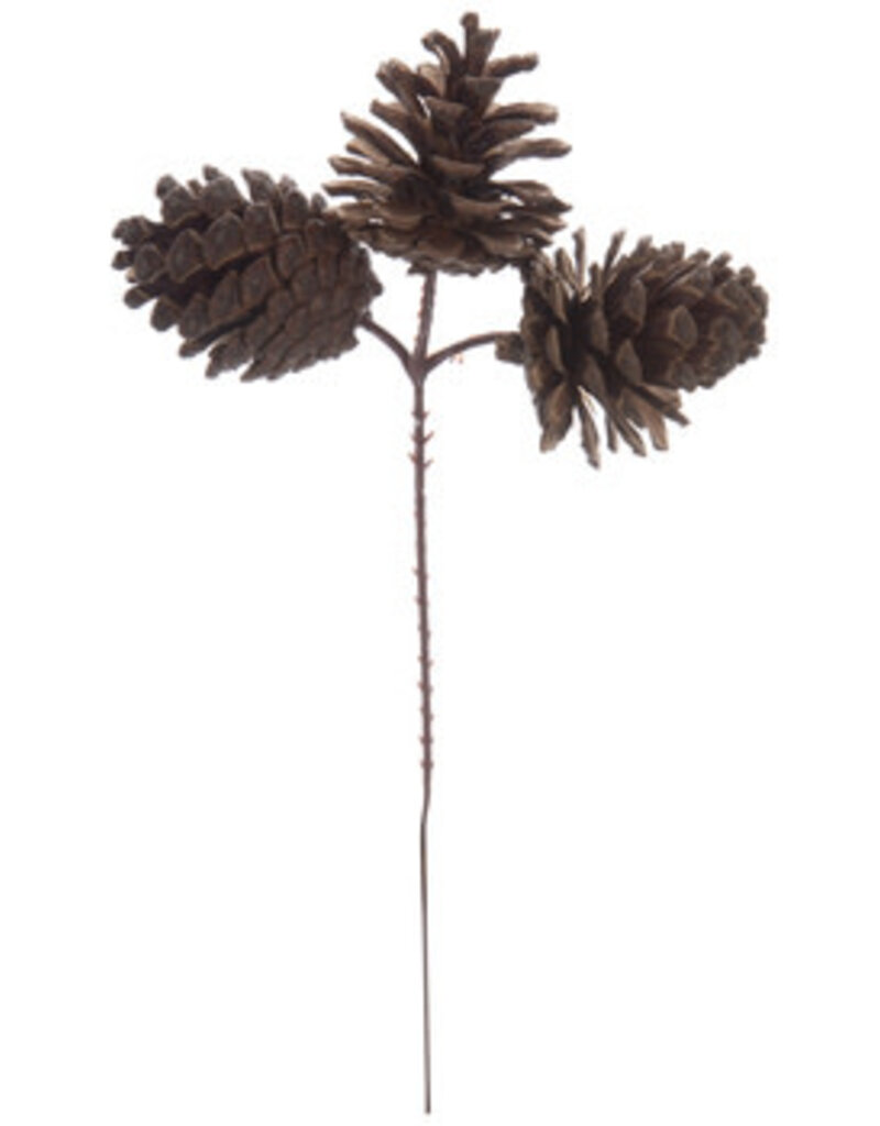 Natural Pine Cone Pick