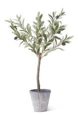24 Inch Olive Tree w/Gray Wash Pot