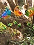 Colorful Metal and Glass Bird Garden Stakes
