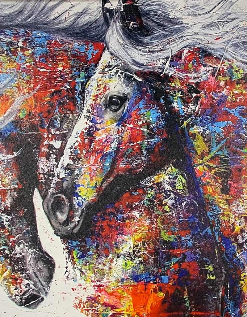 Colorful Horse Pair