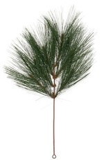 Pine Needle Branch