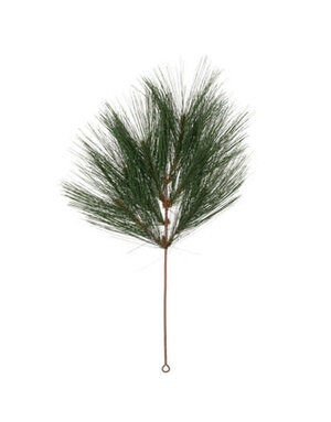 Pine Needle Branch