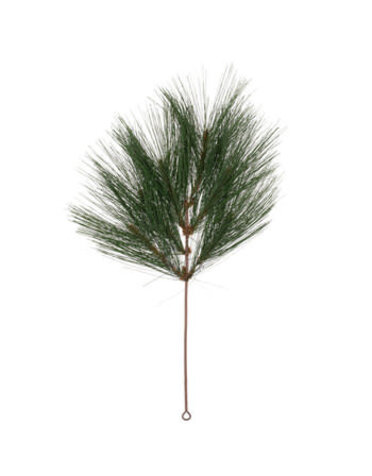 Pine Needle Branch