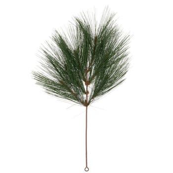 Pine Needle Branch