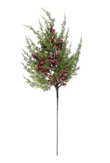 Cypress Pine with Dark Red Iced Berry Stem 24" L