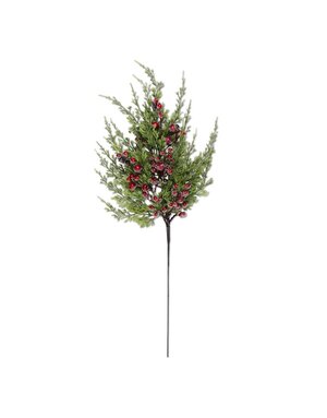 Cypress Pine with Dark Red Iced Berry Stem 24" L