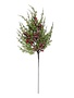 Cypress Pine with Dark Red Iced Berry Stem 24" L