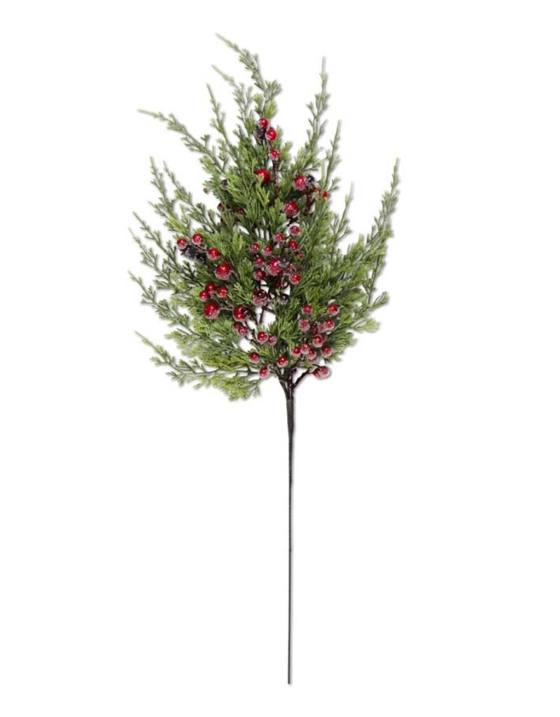Cypress Pine with Dark Red Iced Berry Stem 24" L