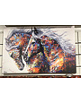 Framed Colorful Horses Canvas