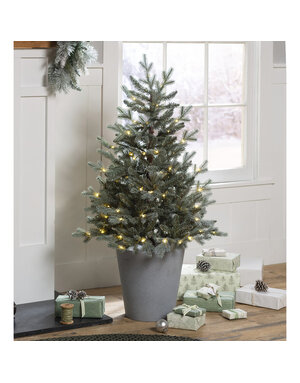 Indoor/Outdoor Potted Misty Pine Mini Christmas Tree with Lights