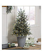 Indoor/Outdoor Potted Misty Pine Mini Christmas Tree with Lights