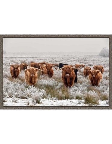 Highlander Family In Winter 30X45