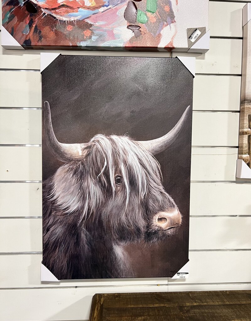 Long Haired Longhorn Canvas- Assorted