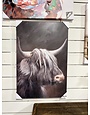 Long Haired Longhorn Canvas- Assorted