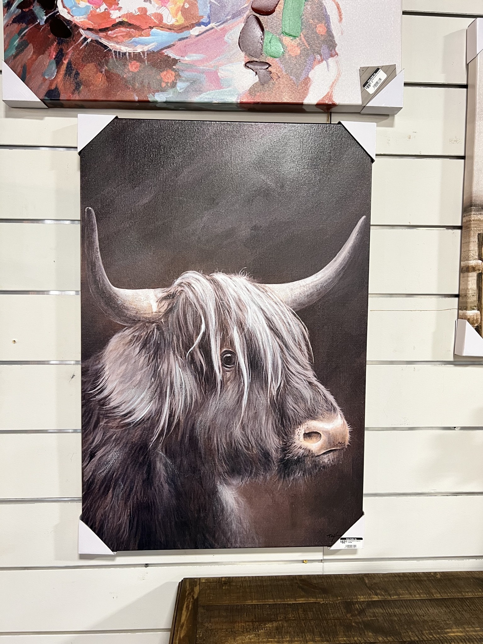 Long Haired Longhorn Canvas- Assorted