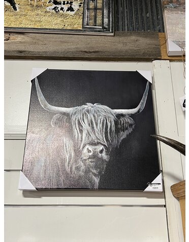 Long Haired Longhorn Canvas - Assorted