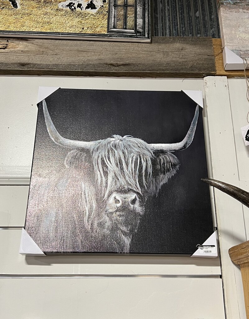 Long Haired Longhorn Canvas - Assorted