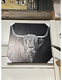 Long Haired Longhorn Canvas - Assorted