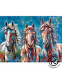 Horse Colorful Canvas
