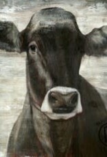 Black Cow Portrait Canvas - 36 x 36