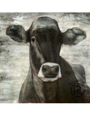Black Cow Portrait Canvas - 36 x 36