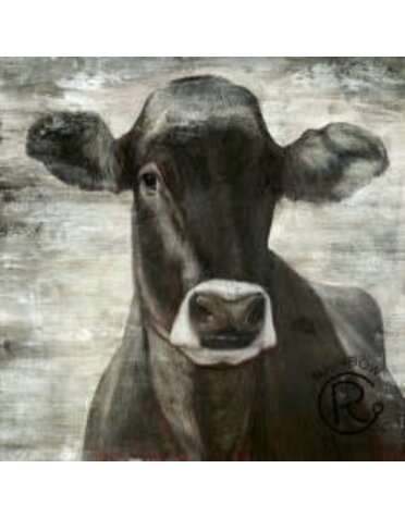 Black Cow Portrait Canvas - 36 x 36