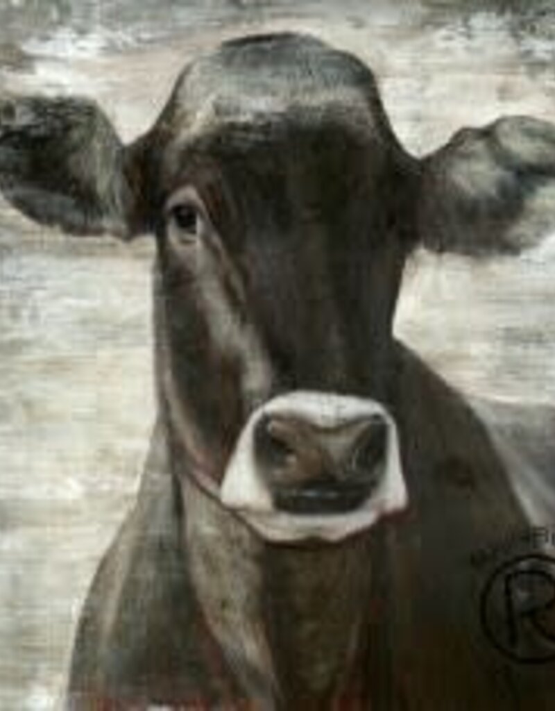Black Cow Portrait Canvas - 36 x 36