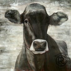 Black Cow Portrait Canvas - 36 x 36
