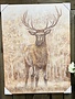 Mule Deer Canvas