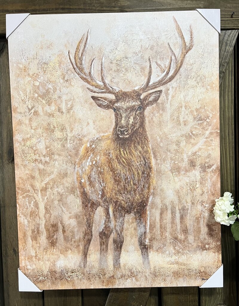 Mule Deer Canvas