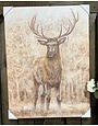 Mule Deer Canvas