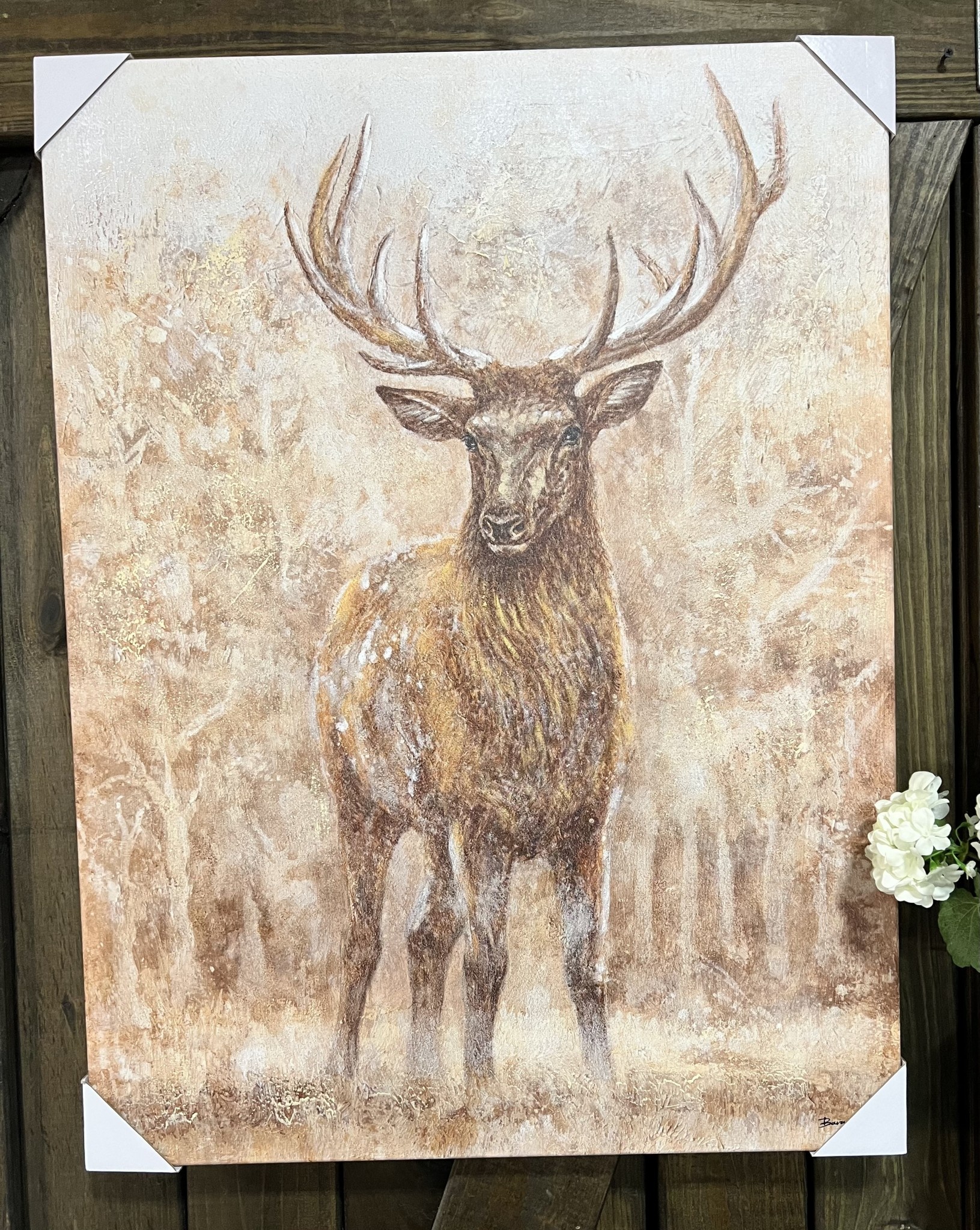 Mule Deer Canvas