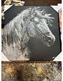 Horse in the Wind Canvas-