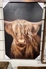 Long Haired Longhorn Canvas