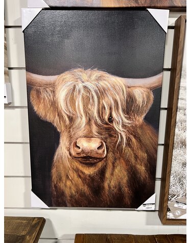 Long Haired Longhorn Canvas
