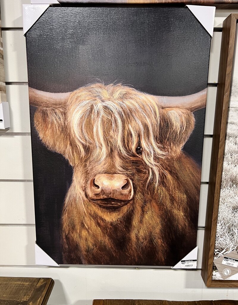 Long Haired Longhorn Canvas
