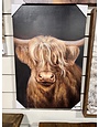 Long Haired Longhorn Canvas