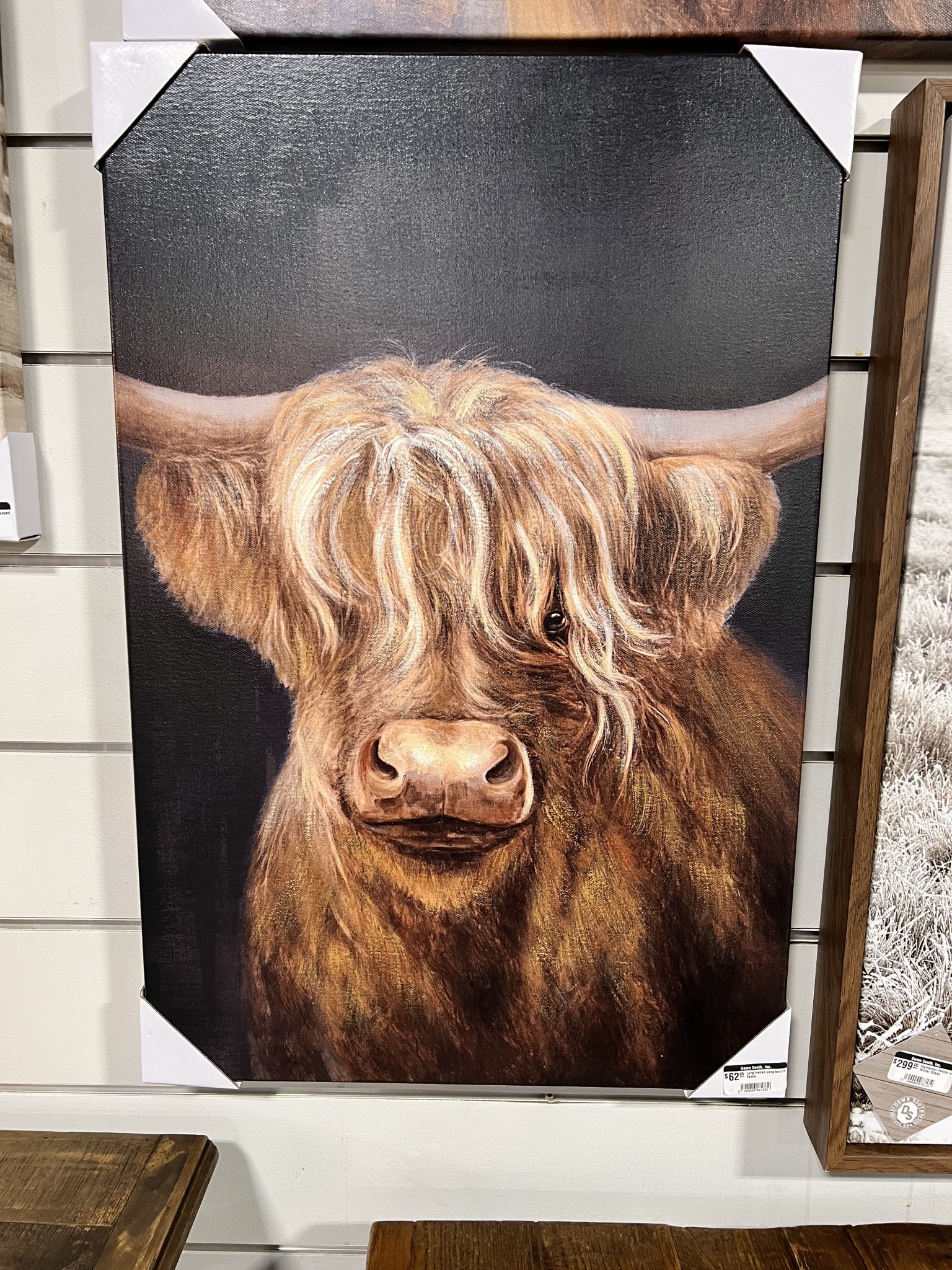 Long Haired Longhorn Canvas