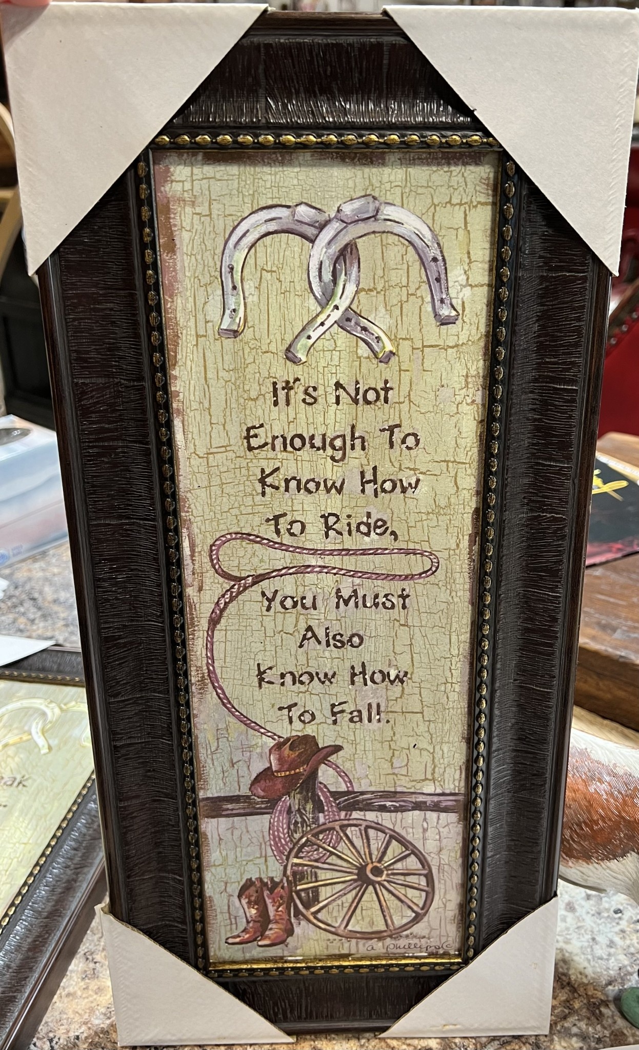 Not Enough to Know How to Ride Wall Art
