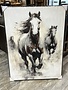 Horses Canvas w/Black Frame