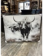 Longhorn Black & White Canvas w/Black Frame