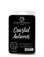 Farmhouse Fragrance Melts - Coastal Autumn