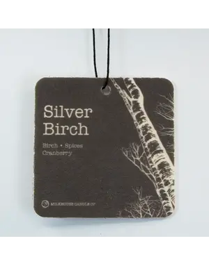 Car Freshener - Silver Birch