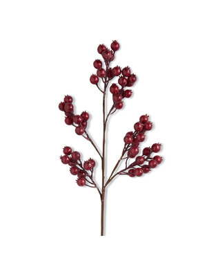 Red Crackle Glitter Rosehip Stem 27"L