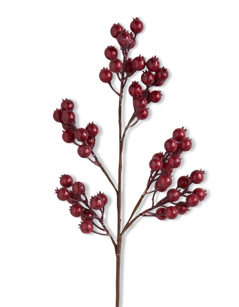Red Crackle Glitter Rosehip Stem 27"L