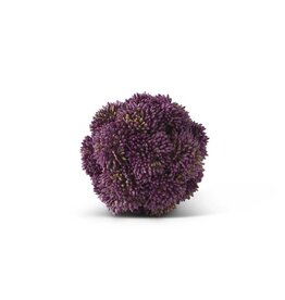 4 Inch Dark Purple Sedum Ball