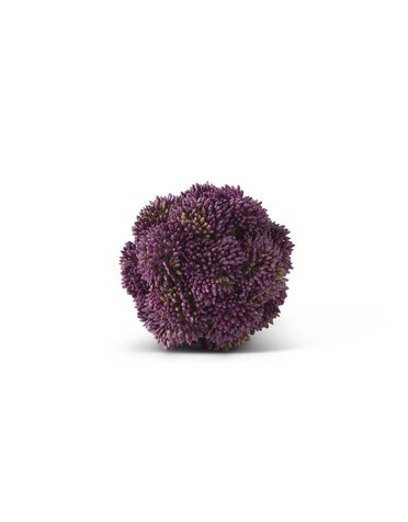 4 Inch Dark Purple Sedum Ball