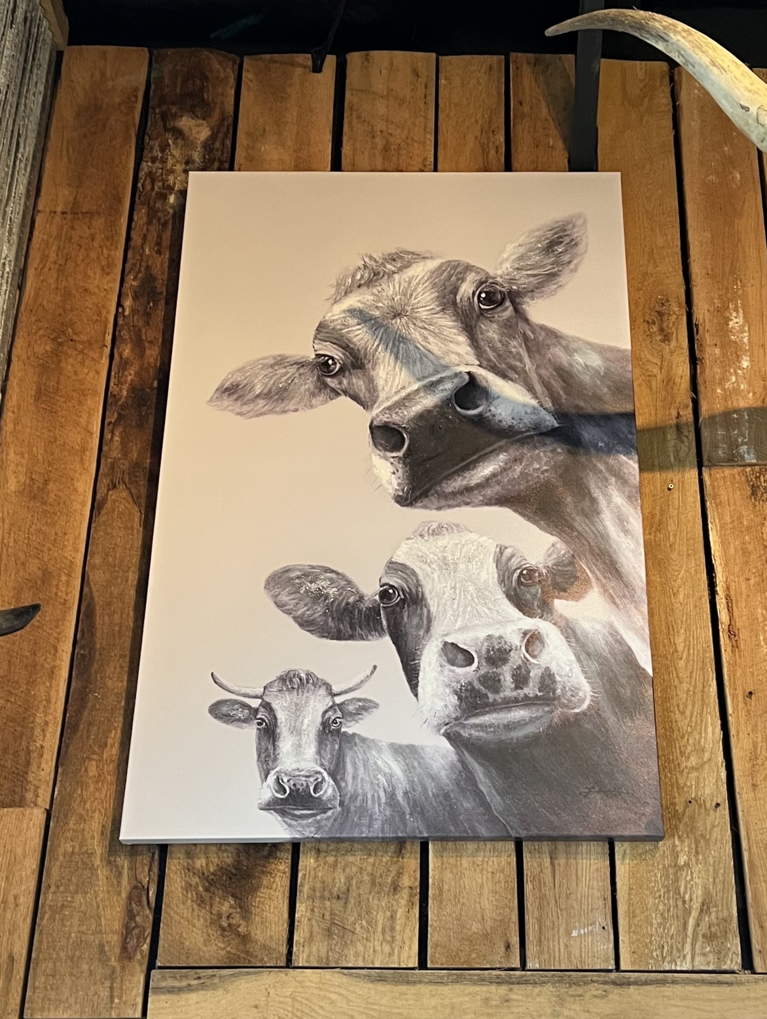 Triple Cow Canvas (B&W)