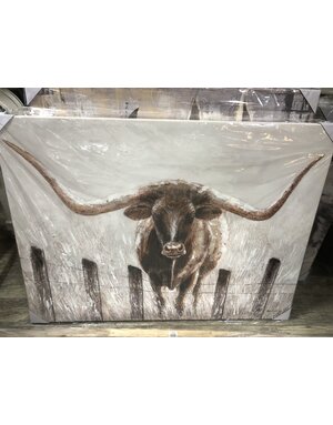 Longhorn in fence Canvas  38x46